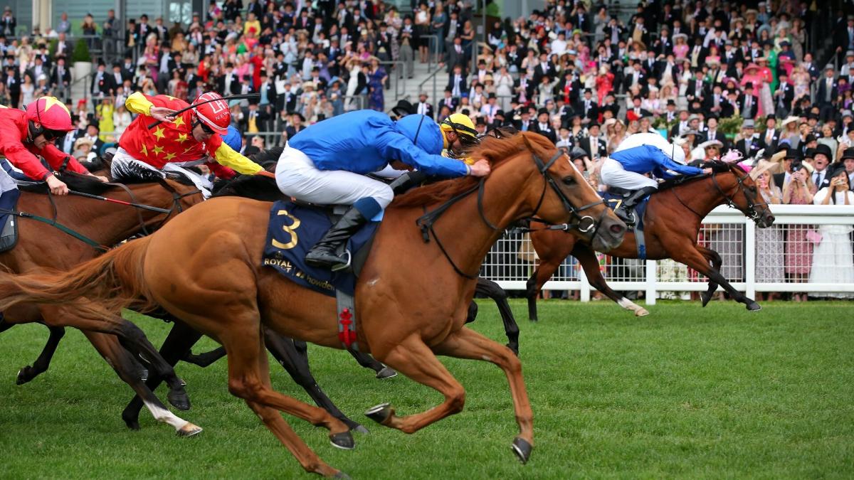 Horse racing at Royal Ascot
